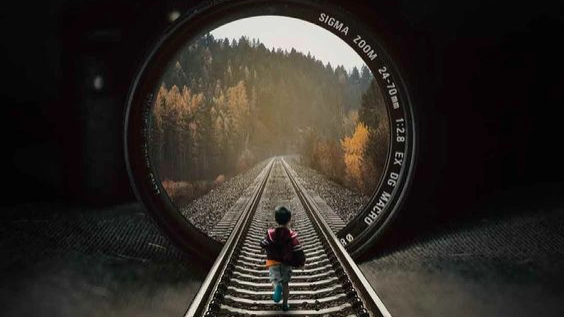 Create new worlds and Bring them to life with TCL’s Professional