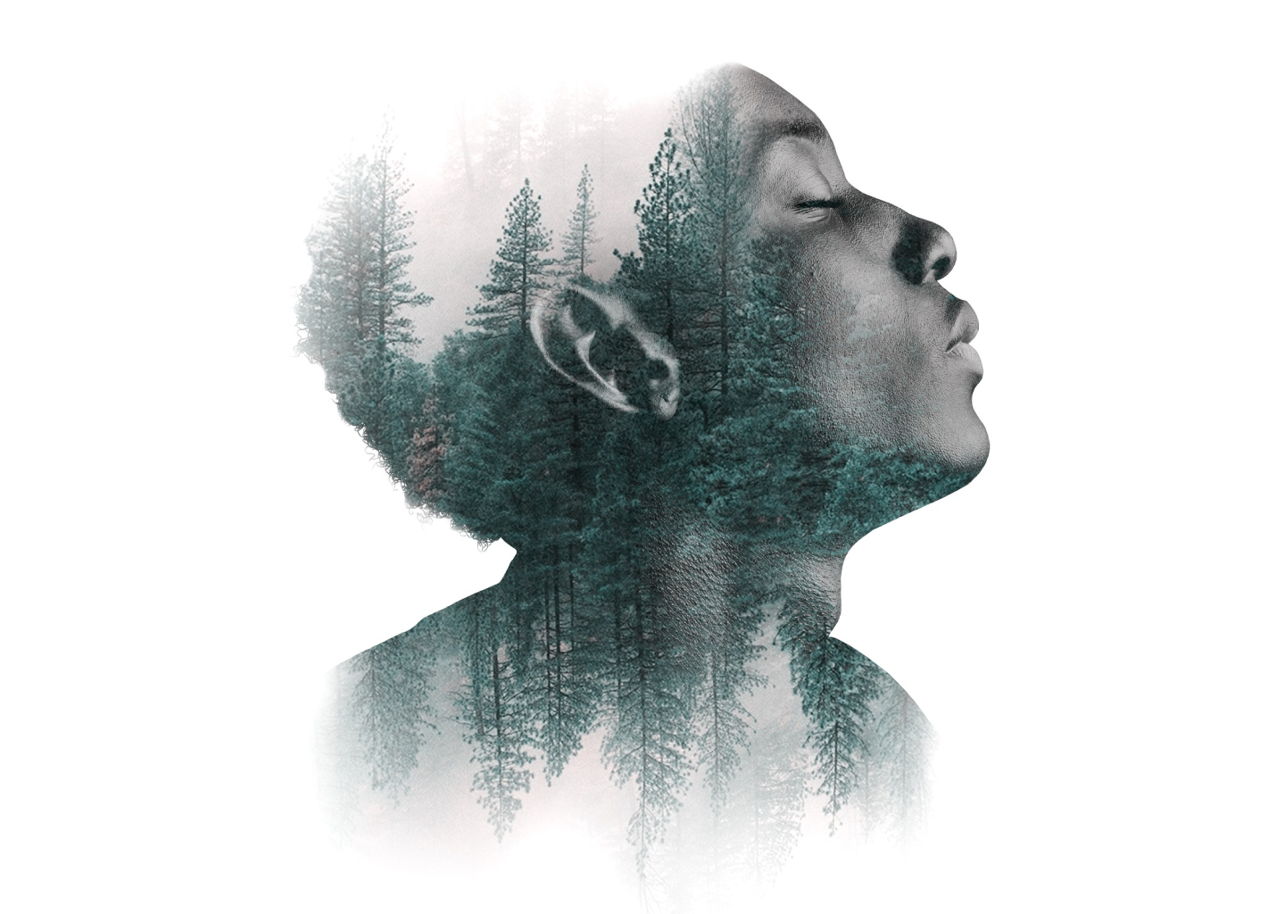 Trident Creative Labs (TCL) is the Best Choice for Outsourcing Photo Editing Services to India