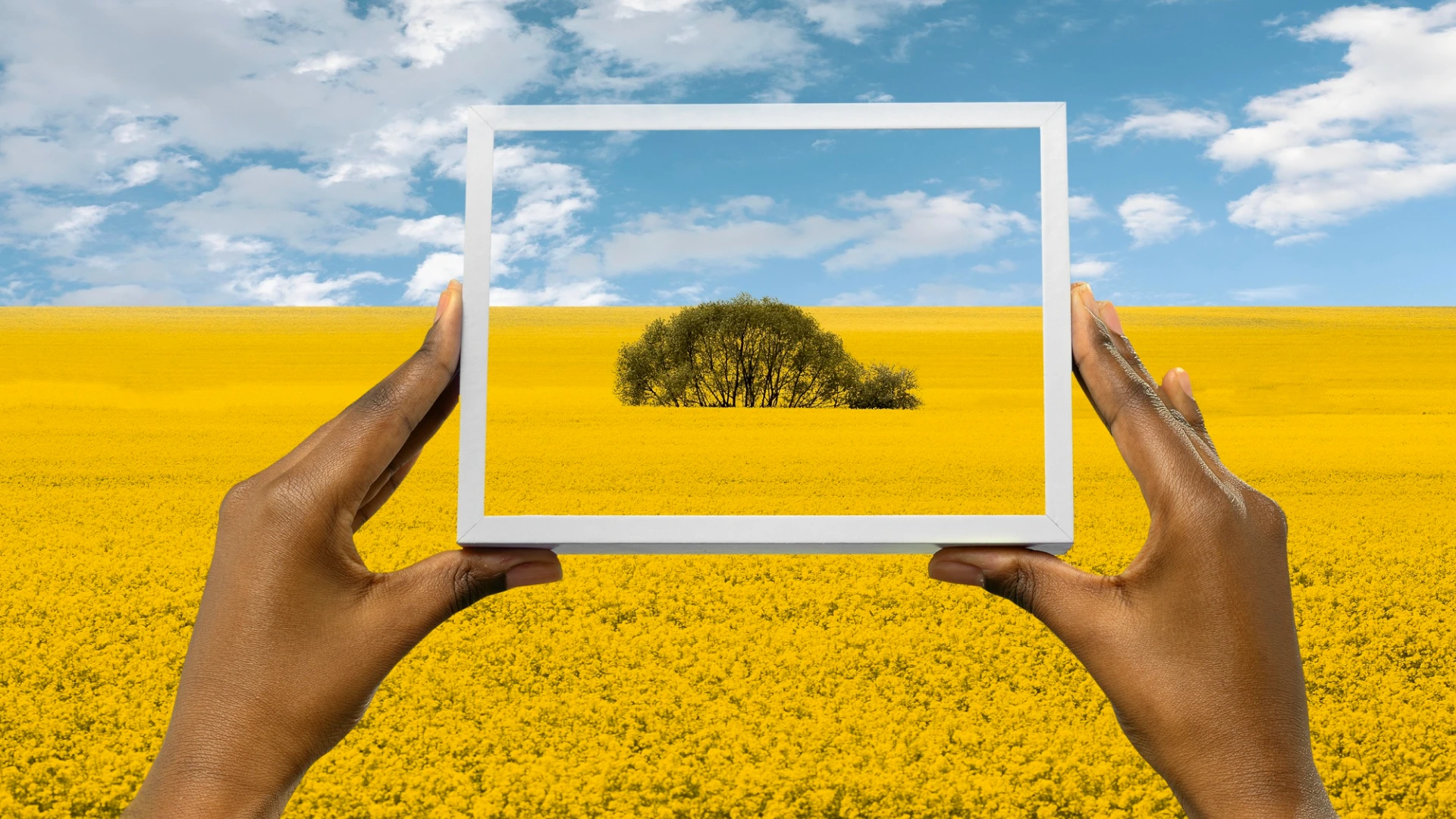 Revamping E-commerce Imagery with CGI_ A US Perspective