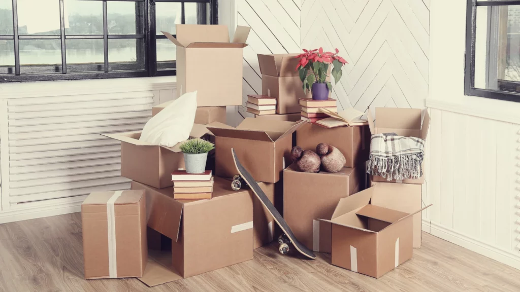 Professional Decluttering